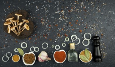 Fresh mushrooms with spices and herbs on black board. View from above. Copy space