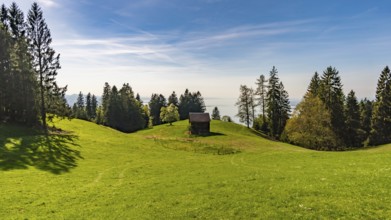Wonderful hike to the viewpoint on the Pfänder on Lake Constance