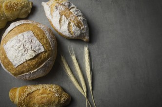 Beautiful Sourdough bread on gray background with dried wheat flower