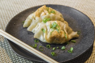 Beautiful gyoza or dumplings snack with soy sauce, selective focus, copy space