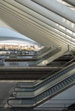 Liège, Liège-Guillemins railway station, design 2009 Santiago Calatrava, station concourse with