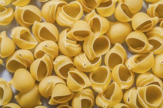 Shell macaroni background food and drink concept