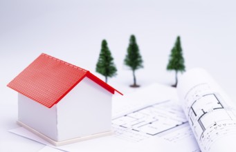The photo shows a model house with architect's plans, in the background you can see some fir trees
