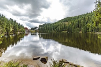 Ruhiger Bergsee mit Spiegelungen der umliegenden grünen Wälder von einem felsigen Ufer aus gesehen