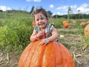 Little girl picking pumpkins on Halloween pumpkin patch. Child playing in field of squash,