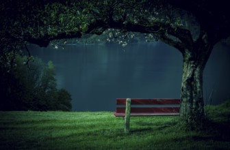 Red wooden bench in a blooming orchard with a beautiful view of the lake Walensee, in the Swiss