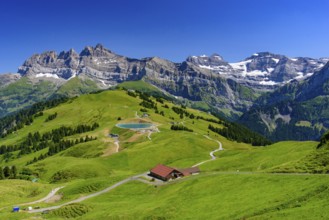 Landscape of mountains of Alps in summer with green meadow in Portes du Soleil, Switzerland, Europe