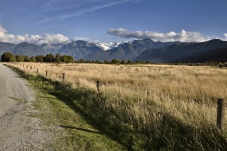 Fox Glacier New Zealand Rural dirt road Southern Alps