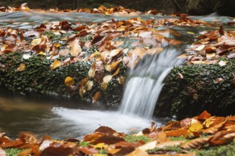 Autumn leaves in mountain stream - long exposure