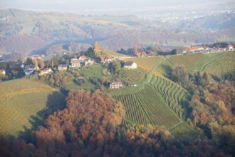 Autumn atmosphere in the evening light, forest with foliage colouring, hilly landscape, vineyards,