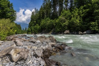 The Lütschine mountain river on Lake Thun in Switzerland