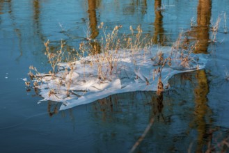 Flooded fields in Reihn near Düsseldorf in Germany