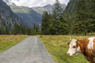 Impressions from Mallnitz Hohe Tauern National Park Seebachtal
