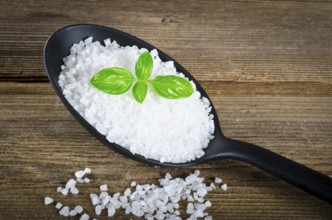 Salt and spices
