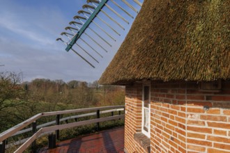 Side view of thatched roof and brick with a view of the countryside, burlage, germany