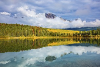 Charming Patricia Lake amongst the evergreen forests, yellow bushes and mountains. Autumn in Jasper