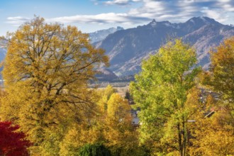 Autumn scenic with the view from the town Murnau to the alps