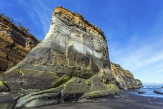 New Zealand, North Island. Powerful cliffs on the Pacific coast. The concept of active and