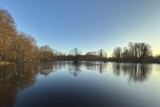 Forest lake with small island, reflection, North Rhine-Westphalia, Germany, Europe