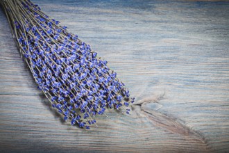 Sheaf of dry violet scented lavender on wooden board healthcare concept