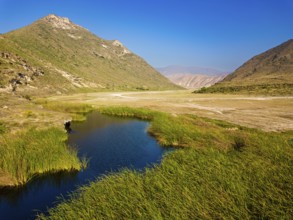 Landscape in Oman, mountains, Wadi Ashawq, road, reeds, waters Salalah, Al Mughsyal / Wadi Ashawq,
