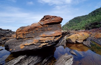 Rugged rocky coast, South Africa, Tsitsikamma National Park, Otter trail, Africa