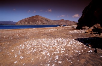 Le Goubet, Goubet Volcanoes, Djibouti, Djibouti, Africa, Afar Triangle, Gulf of Aden, Gulf of