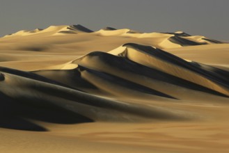 Egypt, Great Sand Sea, Middle East, Africa