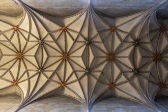 Ceiling vault of the Protestant collegiate church of St George, Tübingen, Baden-Württemberg,