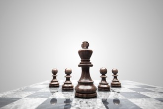 A group of 5 chess pieces under the leadership of the king