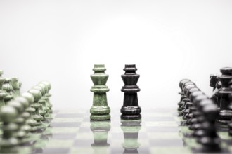 A composition of two kings between the rails of chess pieces