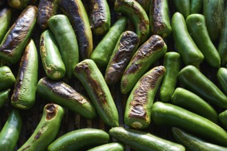 Jalapeno chiles grilled in barbecue in Mexico