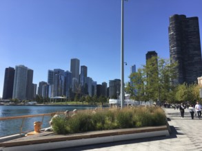Walkway along the water with a view of modern skyscrapers, chicago, illinois, usa