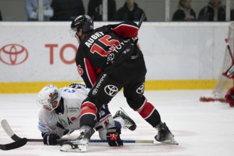 KA2, Cologne, North Rhine-Westphalia, Louis- Marc Aubry (Cologne Sharks, #15), PENNY DEL, Test