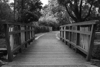 View over a pedestrian bridge in a municipal park, black and white, Cologne, North