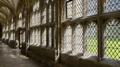 Interior view, window, Cloister, Wells Cathedral, Wells, England, Great Britain