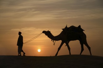 Camels and keepers, Jaisalmer, Rajasthan, India, Asia