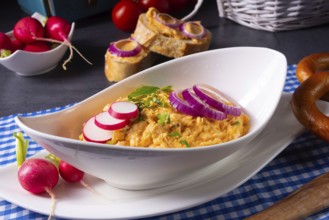 The perfect Bavarian Obazda with radishes and onions