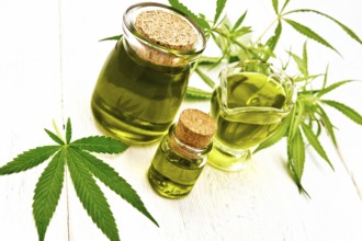 Hemp oil in two glass jars and sauceboat, leaves and stalks of cannabis on the background of wooden