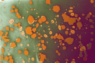 Abstract marbling pattern for fabric, design. marbling background texture