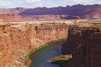 Magnificent Colorado River slowly flows into the high banks of red sandstone