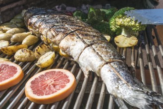 Roasting salmon fish on grill. Vegetables on grill in a garden