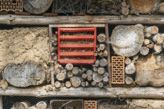 Insect hotel habitat