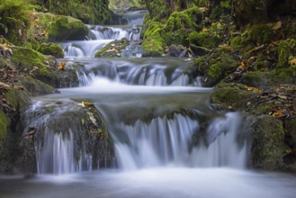 Stream near Urach waterfall, Bad Urach