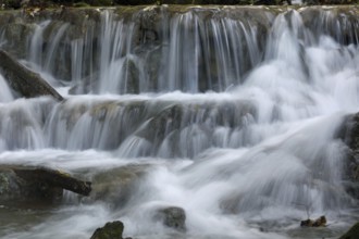 River, terraces, close to nature, Swabian Alb, near Bad Urach