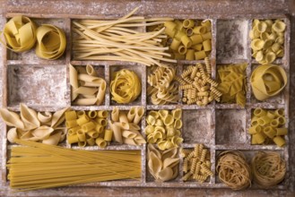Presentation of varieties of Italian pasta made with white flour
