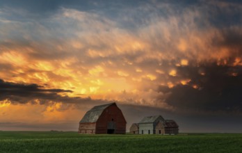 Summer Storms in the Canadian Prairies Dramatic Scenes