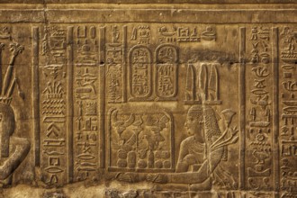 Hieroglyphic carvings on the exterior walls of an ancient egyptian temple