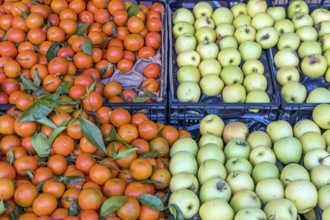 Green apples and mandarins for sale at a market