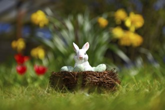 Easter bunny in the Easter nest in front of spring flowers
